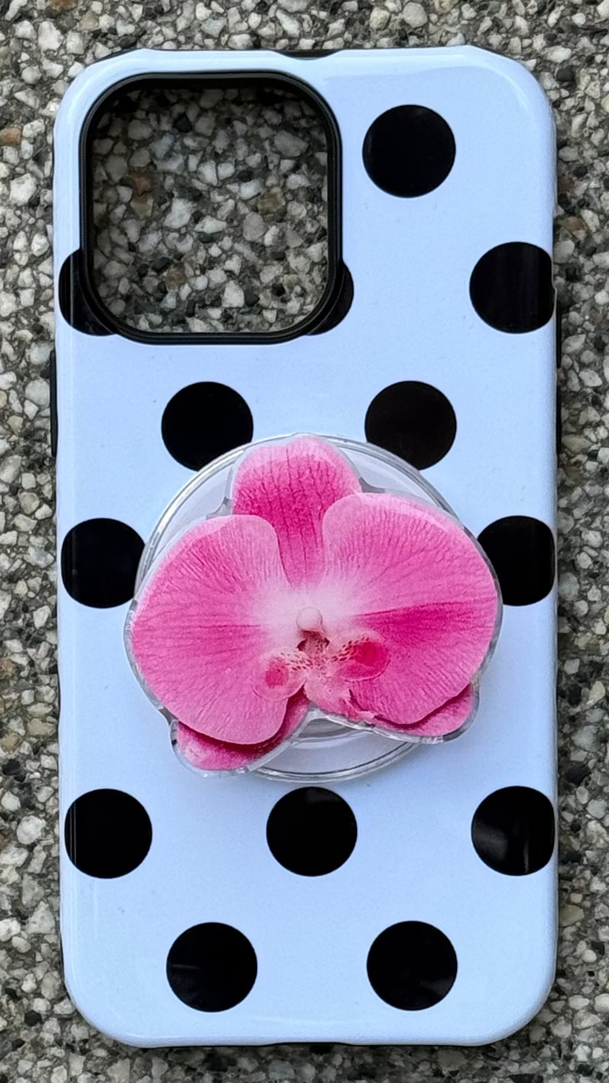 Orchid Obsession Pop Grippy
